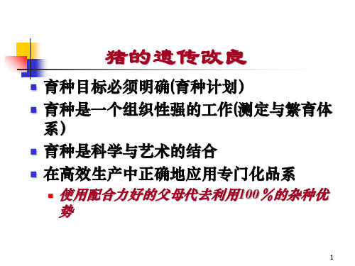 猪配套系选育及地方猪种资源的开发利用