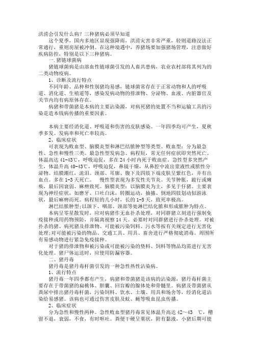 洪涝会引起什么病？三种猪病必须早知道