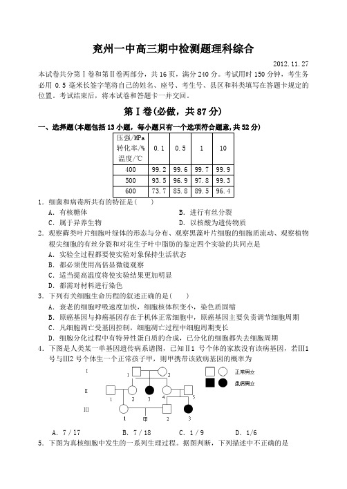 山东省兖州一中2012—2013上学期高三理科综合期中考试试卷及答案