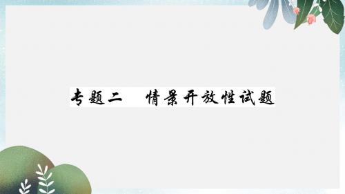 中考物理第二部分重点题型突破专题二情景开放性题复习精讲课件