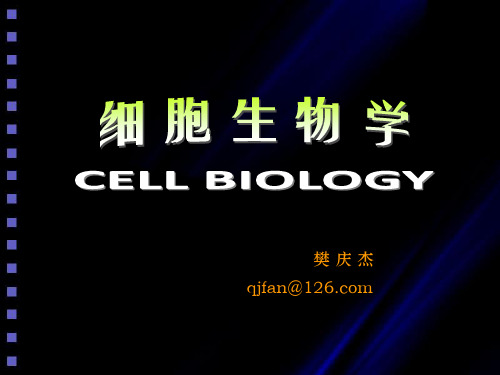 3  细胞膜及表面  细胞生物学课件