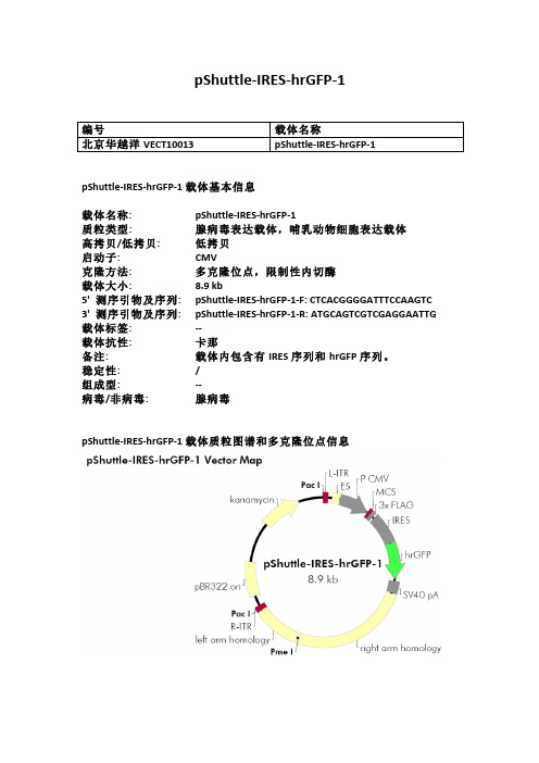 pShuttle-IRES-hrGFP-1腺病毒载体说明(图)