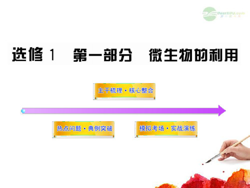 高三生物 IB1.1微生物的利用复习课件 浙科版(浙江专用)