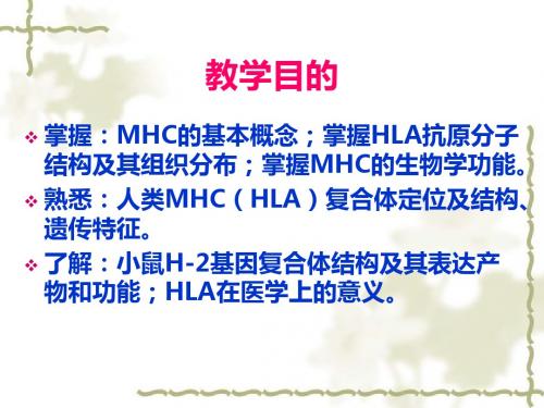 第六章 课件主要组织相容性复合体
