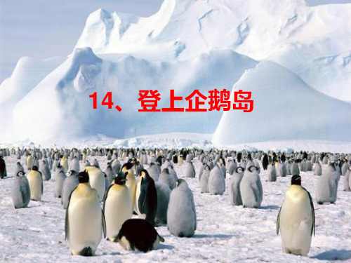 三年级语文下册 第4单元 14《登上企鹅岛》课件9 语文S版