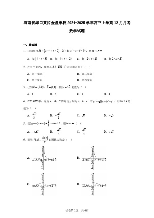 海南省海口黄冈金盘学校2024-2025学年高三上学期12月月考数学试题