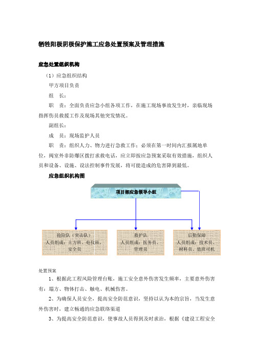 牺牲阳极阴极保护施工应急处置预案及管理措施