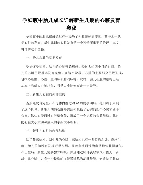 孕妇腹中胎儿成长详解新生儿期的心脏发育奥秘