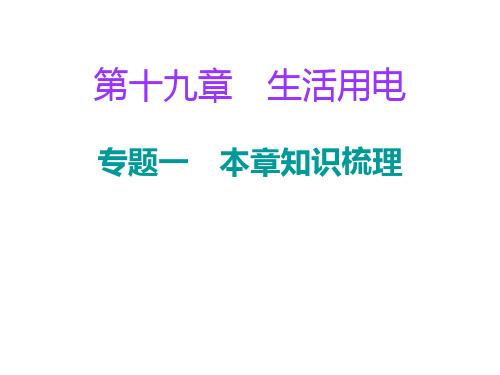 人教版九年级物理全册课件 19.专题一