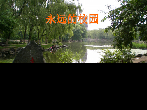 永远的校园(“精神”文档)共9张