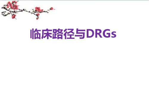 临床路径与DRGs