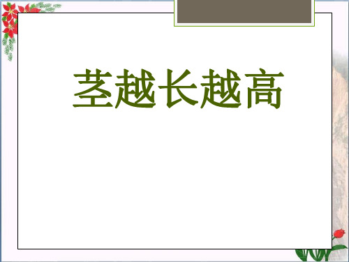 人教版《茎越长越高》植物的生长变化2教育课件