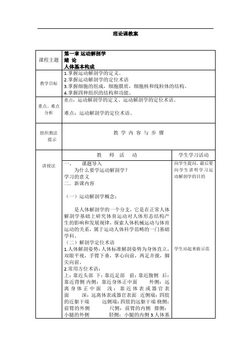 运动解剖学教案