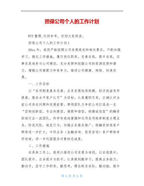 担保公司个人的工作计划