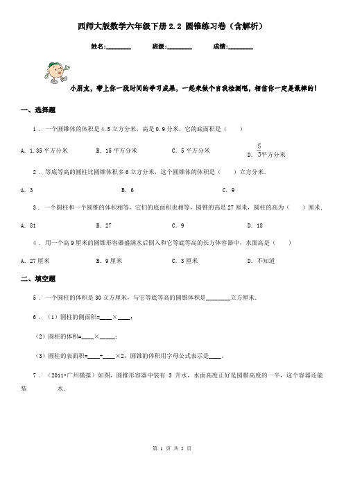 西师大版数学六年级下册2.2 圆锥练习卷(含解析)