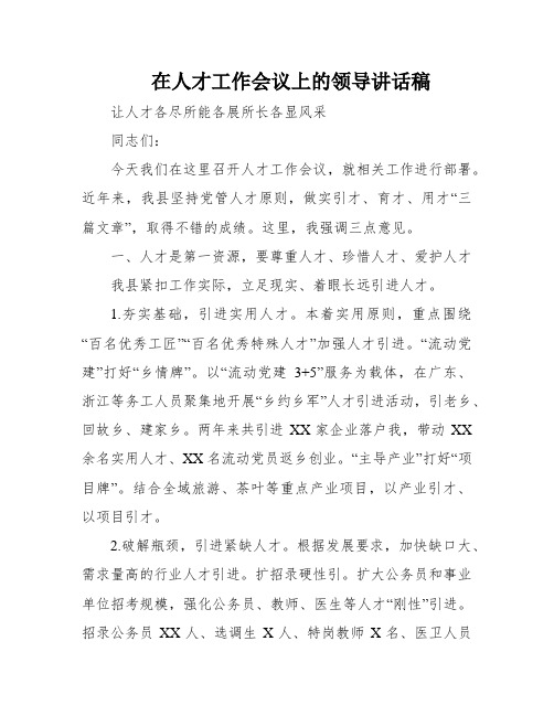 在人才工作会议上的领导讲话稿