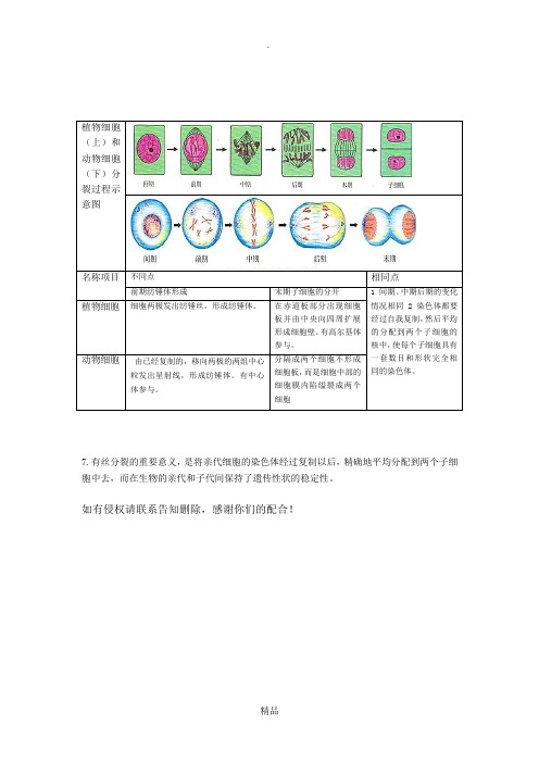 植物细胞和动物细胞分裂示意图