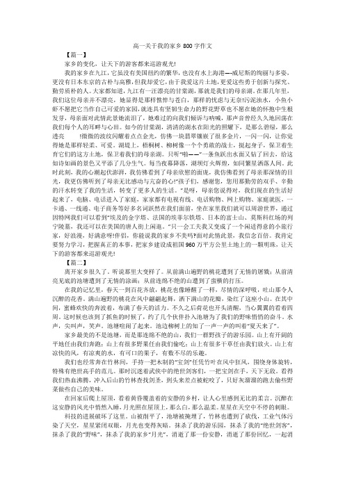 高一关于我的家乡800字作文