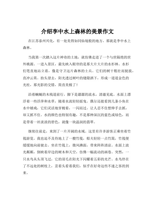 介绍李中水上森林的美景作文