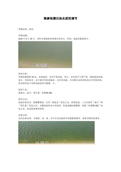 海参池塘白浊水质的调节