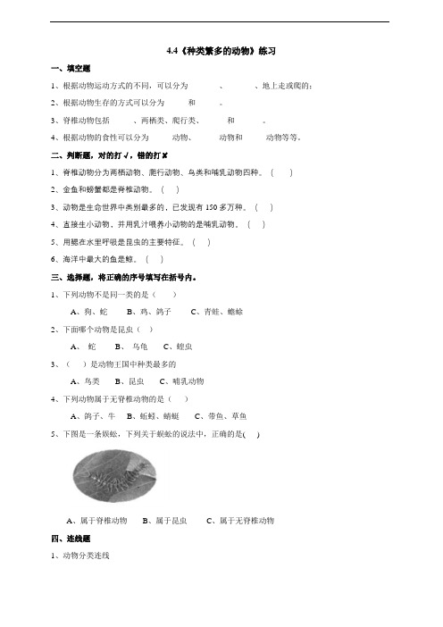 六年级上册科学试题 - 4.4《种类繁多的动物》  教科版 含答案