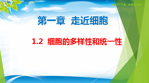 【新教材(人教版)】生物第一章 第二节 细胞的多样性和统一性 课件[优秀课件资料]