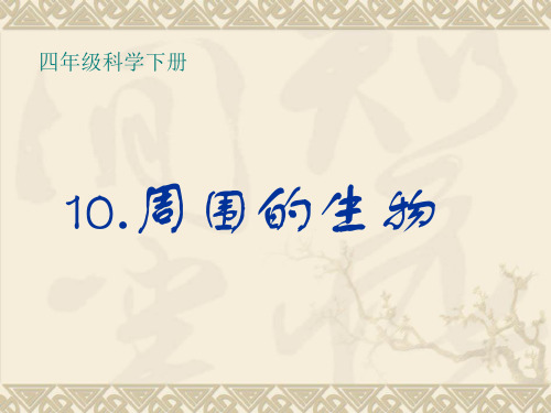 四年级下册科学课件10周围的生物 冀教版 (共20页)PPT