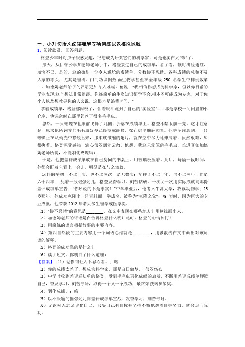 【阅读理解专项】人教版小升初语文模拟试卷及参考答案