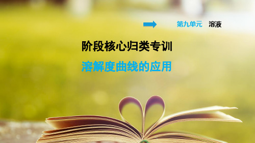 人教版化学九年级下册第九单元《溶液》阶段核心归类专训 溶解度曲线的应用