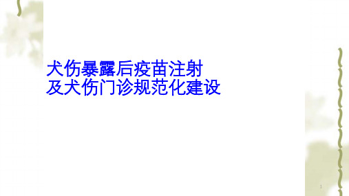 犬伤处置及犬伤门诊规范化建设ppt课件