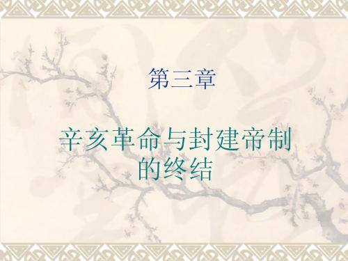 辛亥革命与封建帝制的终结