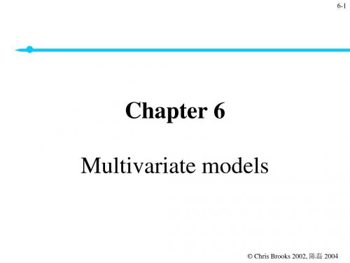 第6章 Multivariate models(金融计量经济学导论-东北财经大学 陈磊)