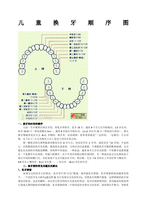 儿童换牙顺序图