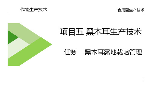 黑木耳生产技术—黑木耳露地栽培管理(食用菌生产技术课件)