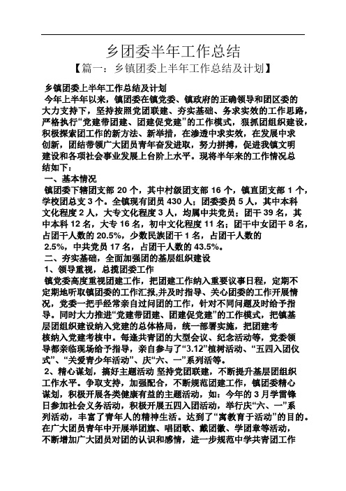 乡团委半年工作总结