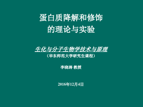 蛋白质降解与修饰-理论与实验 (1)