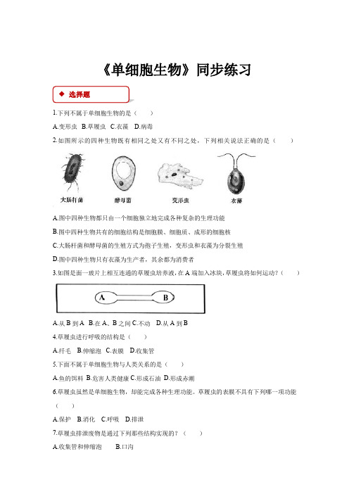 初中人教版生物七年级上册2.2.4【同步练习】《单细胞生物》