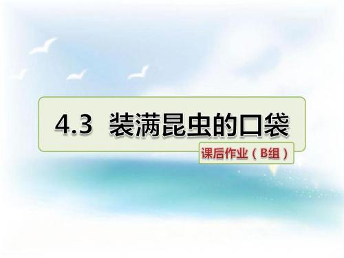 北师大版 小学三年级 语文下册 装满昆虫的口袋 课后作业 精品习题课件