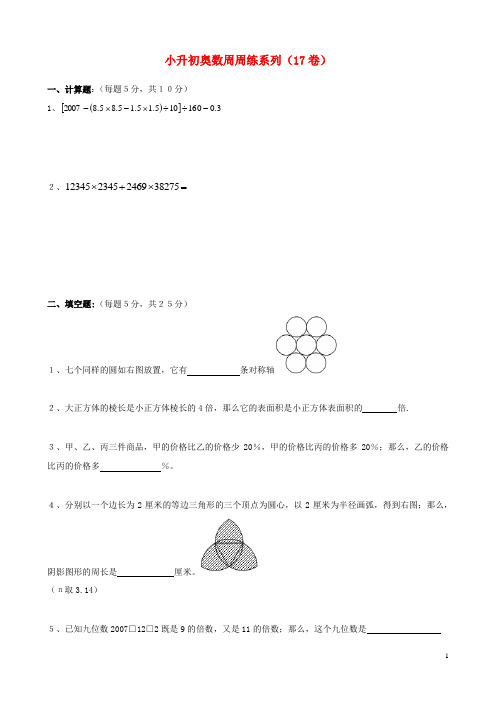 六年级下册数学试题-小升初数学奥数周周练17(无答案)全国通用