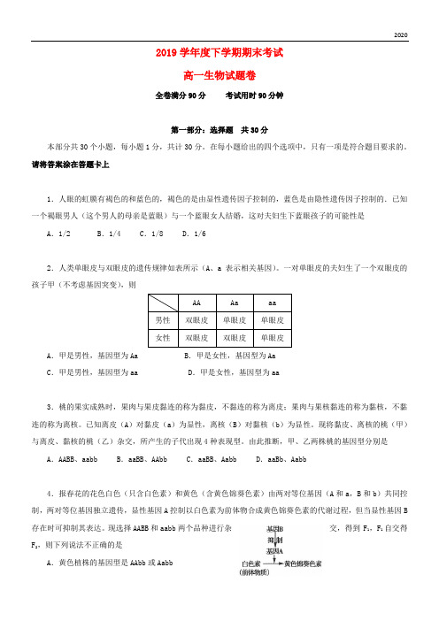 2020学年高一生物下学期期末考试试题 新人教版-新版(1)