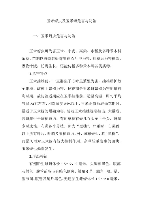 玉米蚜虫及玉米螟危害与防治