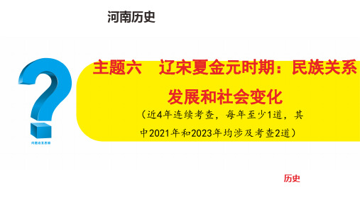 中考历史总复习主题六  辽宋夏金元时期：民族关系发展和社会变化(总复习教案新增内容)