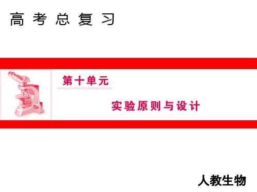 2019教育第十单元 实验原则与设计数学