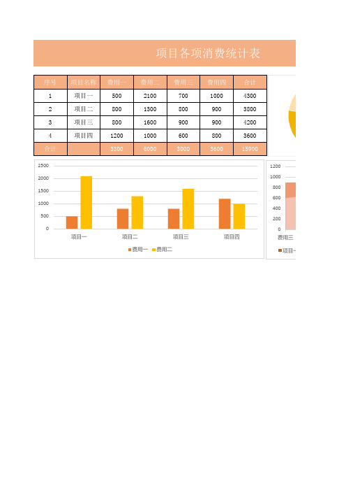 项目各项消费统计表