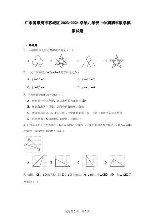 广东省惠州市惠城区2023-2024学年九年级上学期期末数学模拟试题