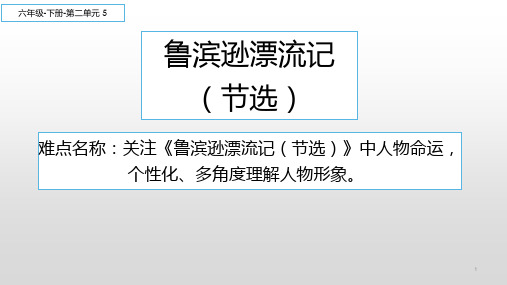 最新部编版人教版小学六年级语文下册《鲁滨逊漂流记(节选)》教学课件