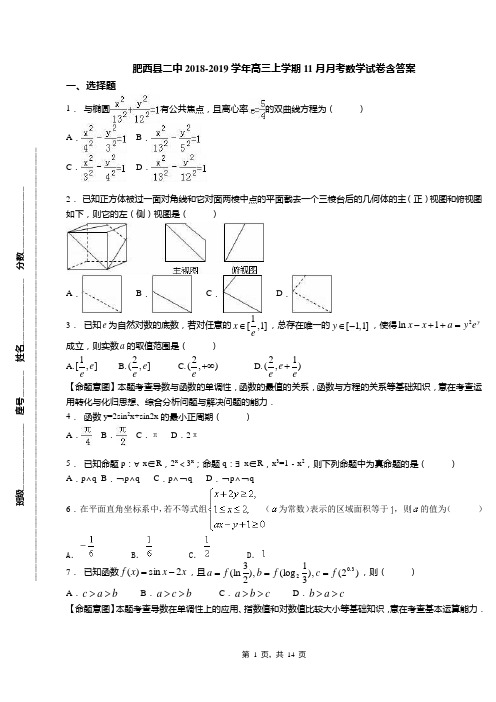 肥西县二中2018-2019学年高三上学期11月月考数学试卷含答案