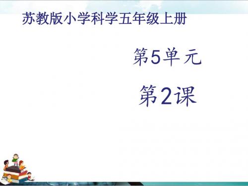 苏教版科学五年级上册课件：《建立模型》课件(1)