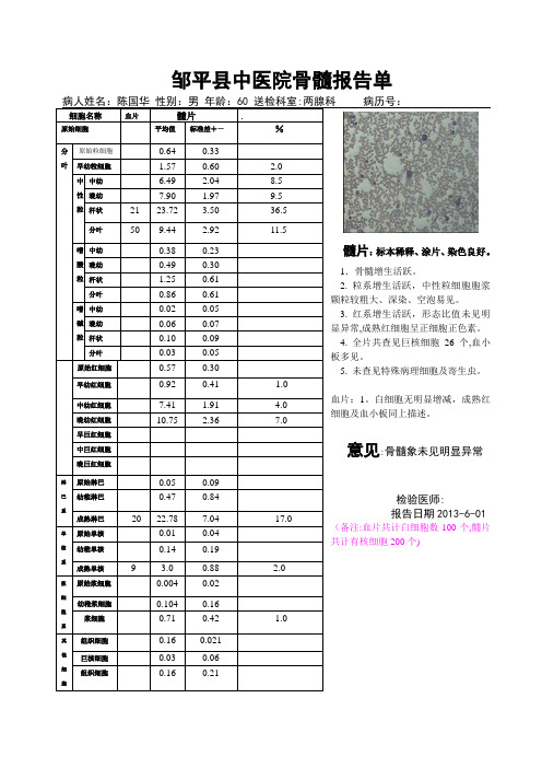 骨髓报告模板