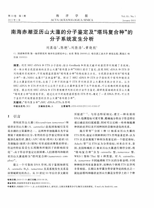 南海赤潮亚历山大藻的分子鉴定及“塔玛复合种”的分子系统发生分析